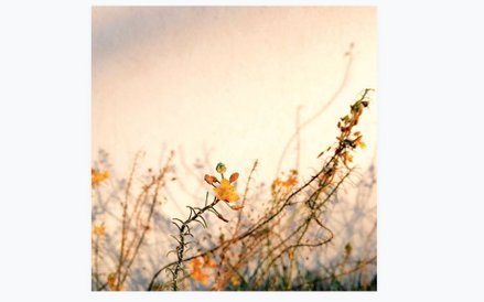 1. miejsce: Alison Helena