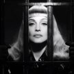 Madonna szokuje walcząc z przemocą i nietolerancją