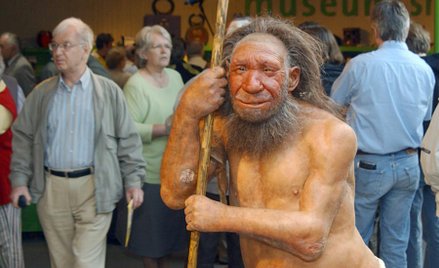 Neandertalczycy mieli w diecie dużo roślin.