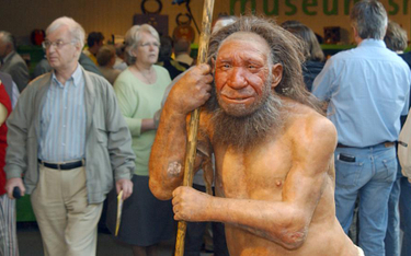 Neandertalczycy mieli w diecie dużo roślin.