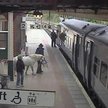 Nietypowego pasażera uchwyciły kamery przemysłowe na peronie w Wrexham