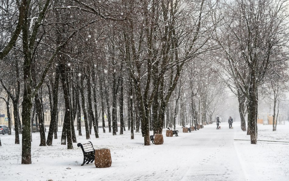 Pogoda na luty. Czy będzie śnieg i mróz?