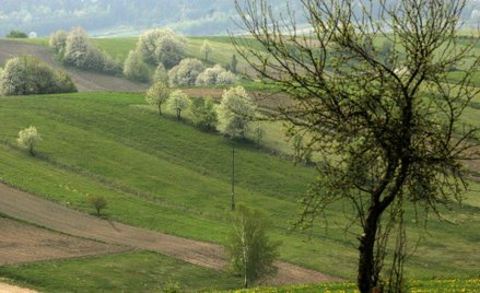 Nabywanie nieruchomości przez cudzoziemców a nowe obowiązki notariuszy i sądów