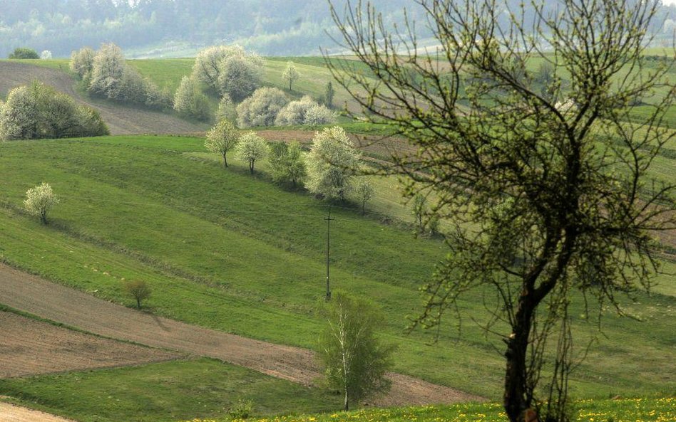 Nabywanie nieruchomości przez cudzoziemców a nowe obowiązki notariuszy i sądów