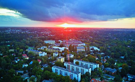 Referendum w Milanówku nie jest wiążące. Burmistrz zostaje