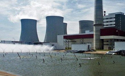 Administracja USA zabiega o kontarkte atomowy w Polsce