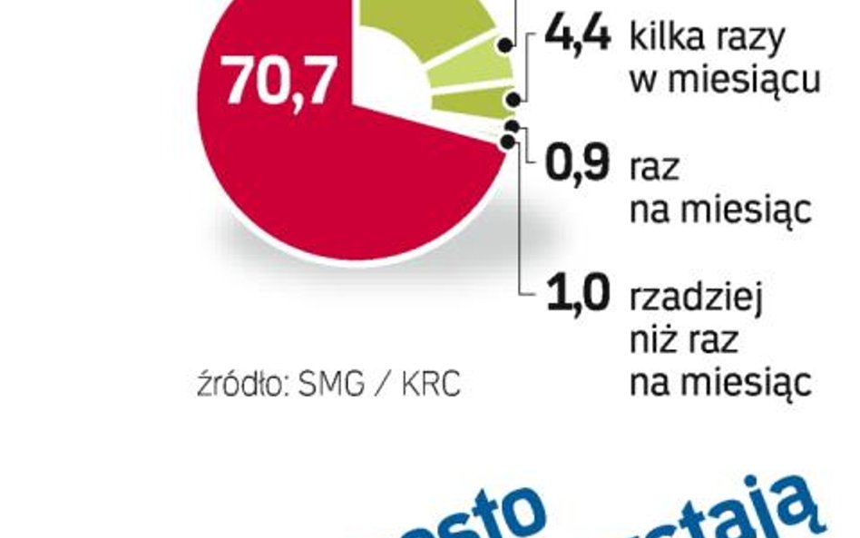 Polacy w sieci