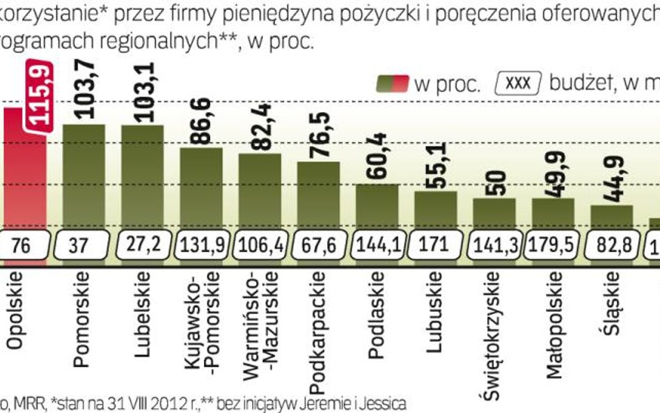 Regiony przeznaczyły na pożyczki różne kwoty