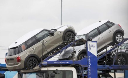 Więcej Mini z Holandii w razie twardego brexitu