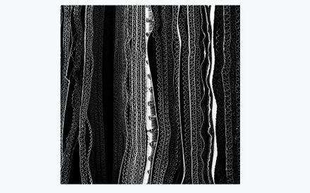 1. miejsce: Glenn Homann