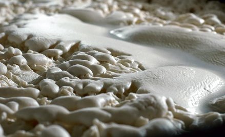 Brackie piwo w czasie fermentacji - Materiały prasowe/Żywiec