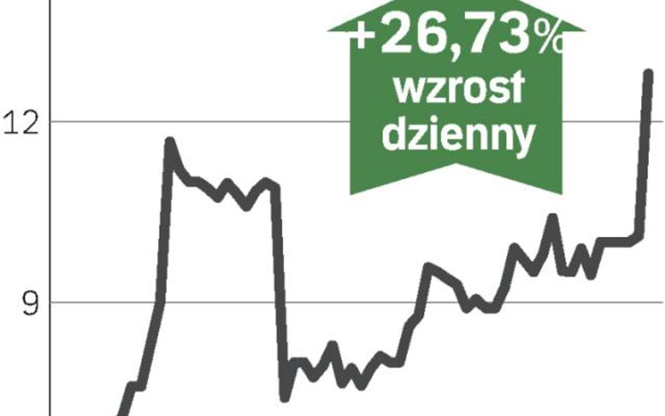 Nowy ratunek dla właściciela Sphinksów