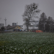 Przewodów