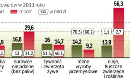 Dla wielu branż w zeszłym roku eksport był rekordowy