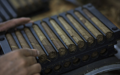 Kubańskie cygara
