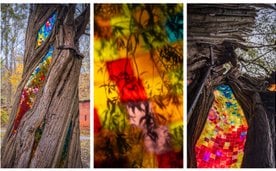 Rzeźba „Wierzba”