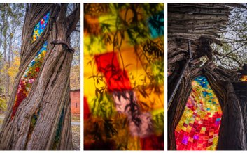 Rzeźba „Wierzba”