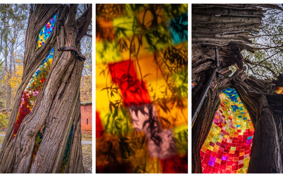 Rzeźba „Wierzba”