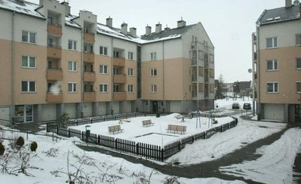 Weryfikacja wniosków o mieszkania