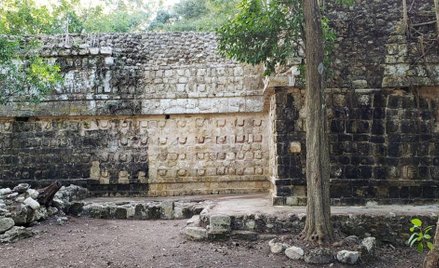 W Meksyku archeolodzy odkryli pałac Majów