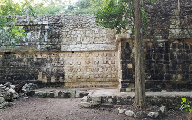W Meksyku archeolodzy odkryli pałac Majów