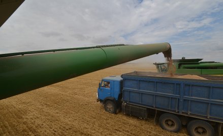 Zbiory w Kraju Stawropolskiem