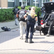 Holandia: Syryjczyk krzyczał "Allahu Akbar". Zabił policyjnego psa