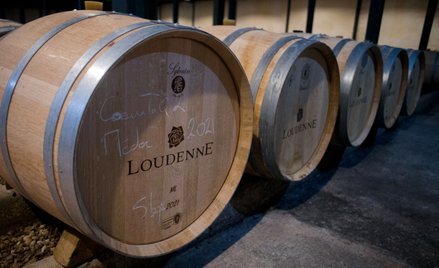 Beczki wina w piwnicy do leżakowania w Chateau Loudenne