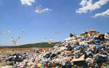 Wyższe stawki za śmieci zwiększą recycling