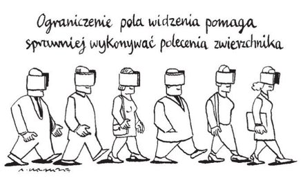 Komentarz rysunkowy. Pole widzenia