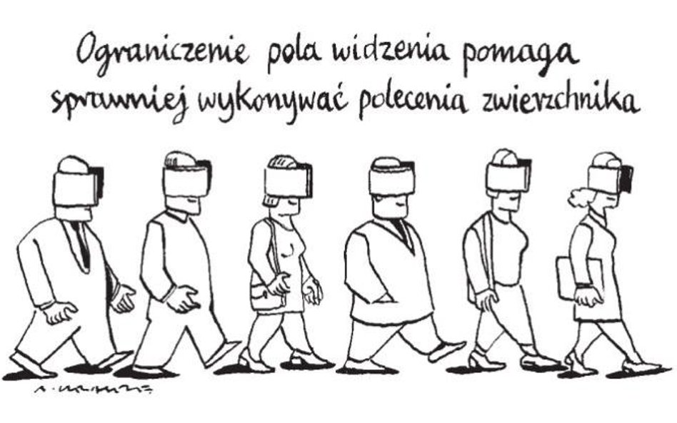 Komentarz rysunkowy. Pole widzenia