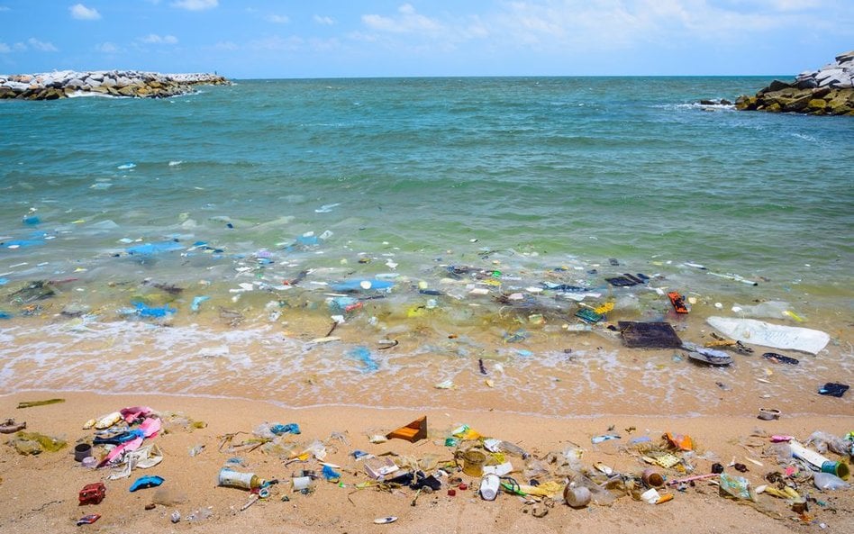 Z odkurzaczem na ocean