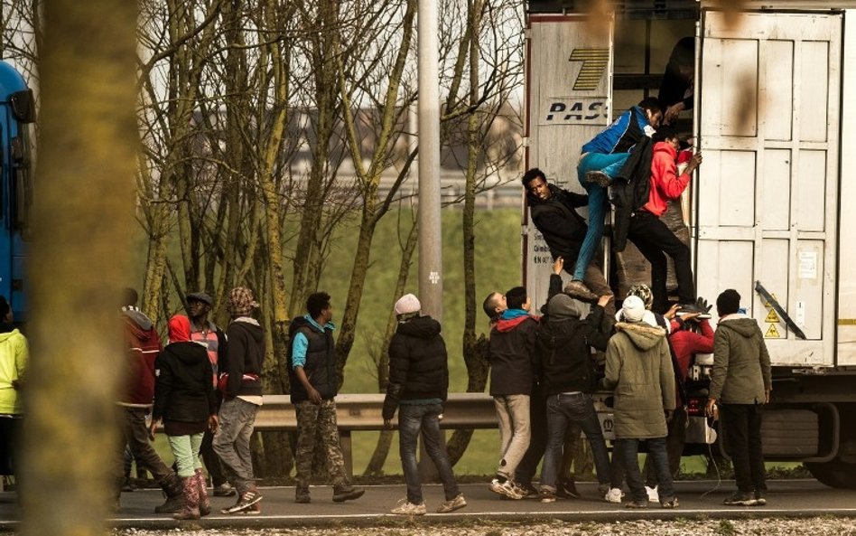 Polscy przewoźnicy surowo karani za przewóz nielegalnych imigrantów