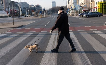 Goldman Sachs: hurraoptymistyczne prognozy dla Polski