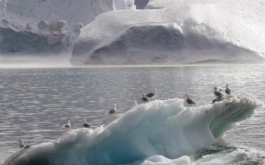 Tajemnica cieplejszej Arktyki