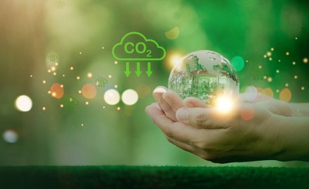 Zamrożenie cen energii elektrycznej: Problem ekologicznej energii