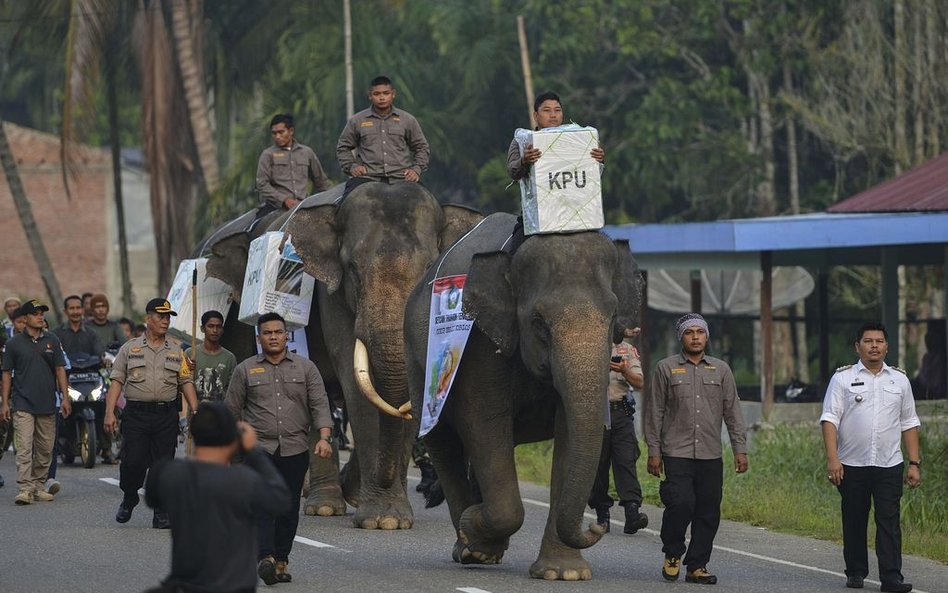 Indonezja: Trwają największe na świecie wybory prezydenckie