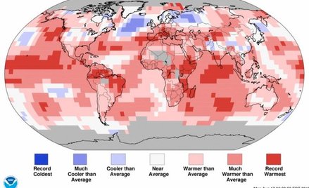 Rekordowe chłodne (niebieskie) i rekordowo ciepłe (czerwone) regiony Ziemi w lipcu 2015 r.