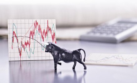 Byki tygodnia, czyli trzy spółki z szansami na zwyżki...