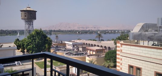 Objuczony wielbłąd na wsi pod Sakkarą.