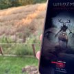 Wiedźmin: Pogromca potworów. O grze z Polski znowu jest głośno