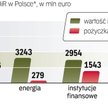 Inwestycje w Polsce przy wsparciu EbOiR. W 2009 r. instytucja zaangażowała się w 21 projektów wartyc