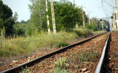 Kolej rusza z przebudową linii na Mazowszu