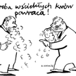 Komentarz rysunkowy. Wściekłe krowy