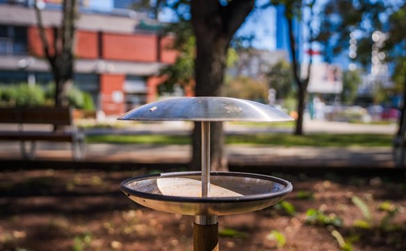 Powstały tu także poidełka dla skrzydlatych mieszkańców Warszawy