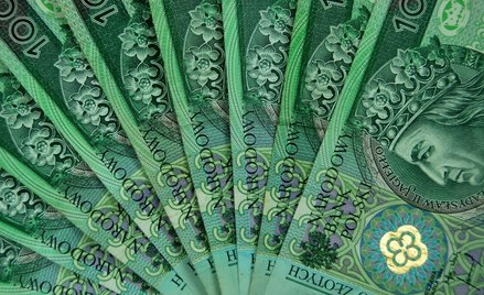 Stuzłotówki zaczęły wracać do łask?