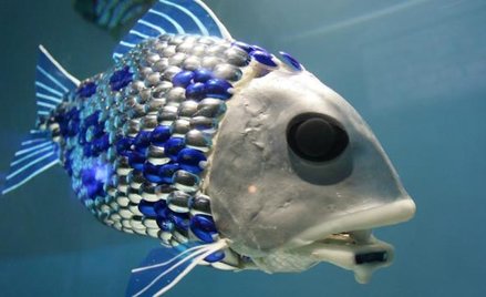 Sztuczna ryba umożliwia wykrywanie zanieczyszczeń w wodzie