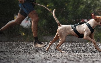 Imprezy stacjonarne odbędą się 11 października w Warszawie, natomiast Bieg Wirtualny potrwa od 1 sie