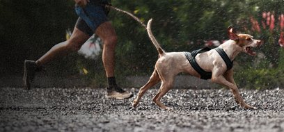 Imprezy stacjonarne odbędą się 11 października w Warszawie, natomiast Bieg Wirtualny potrwa od 1 sie
