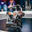 Zapasy sumo robotów humanoidalnych podczas zawodów Robot Challenge w Wiedniu